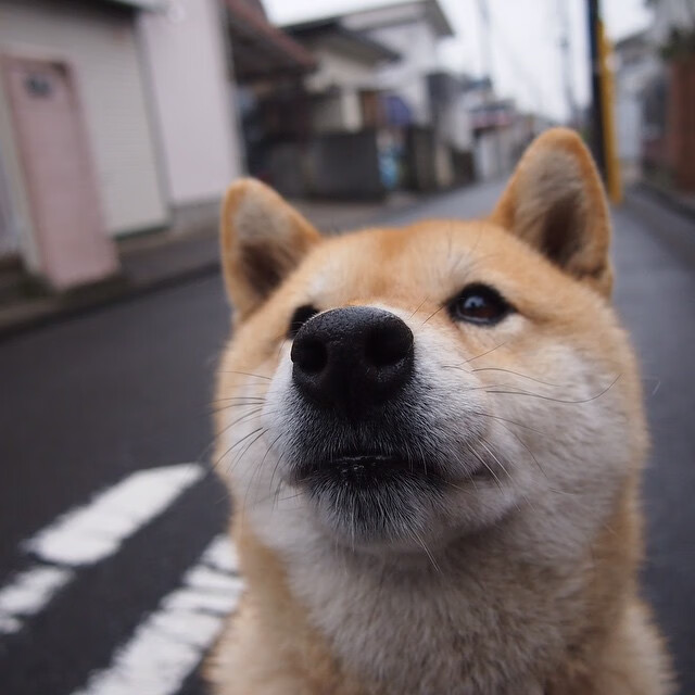 开云体育网页版-“漂移艺术：弯道中的速度舞者”，漂移舞蹈视频
